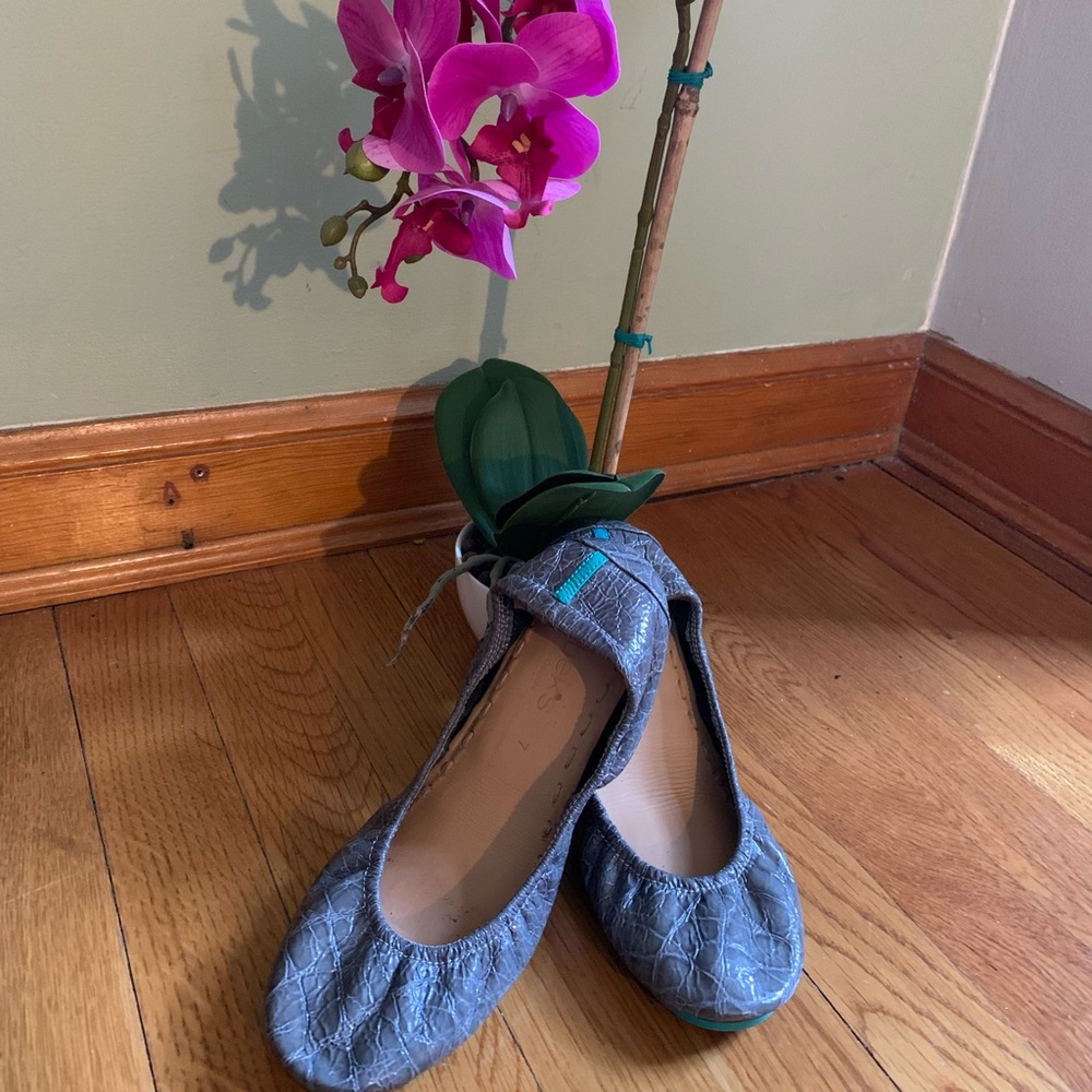 VGUC Slate Grey Crocodile Tieks